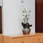 Apartament Mare Zadar