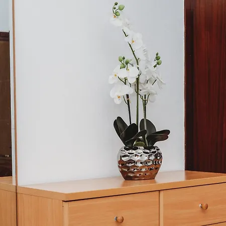 Apartmán Mare Zadar