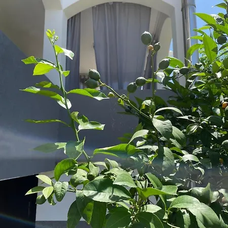 Apartament Mare